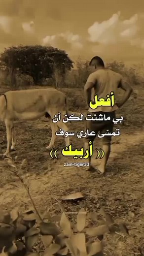 Man and Donkey in a Dusty Rural Landscape