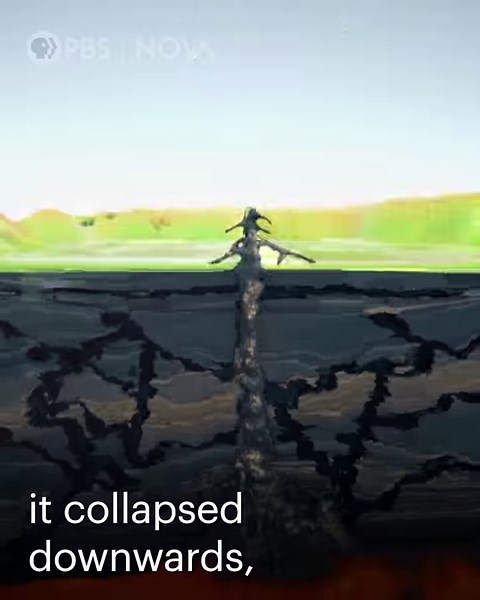 200K views · 5K reactions | In Italy, hundreds of thousands of people are living directly on top of an active volcano. | NOVA l PBS | Facebook