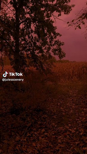 Stunning Autumn Scenery That Captivates the Senses