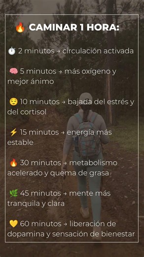 🔥 CAMINAR 1 HORA: esto es lo que pasa en tu cuerpo minuto a minuto