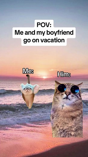 Cat Couple Vacation Memes - Relationship Goals