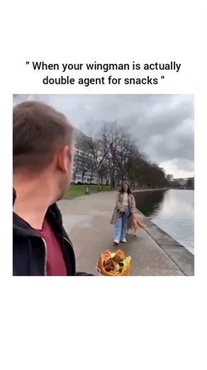 UNIVERSAL REEL HUB on Instagram: "This viral reel features a man holding a large snack while filming himself on a paved walkway alongside a river, only to have a golden retriever on a leash suddenly lunge toward his food with such force that it drags its owner directly into the water. The video captures the chaotic sequence where the dog’s single-minded pursuit of the snack causes the woman holding the leash to lose her footing and flip headfirst into the river, creating a hilarious and unexpect