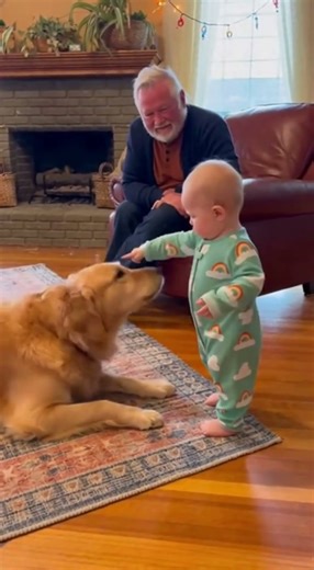 A baby laughs while the dog answers with a funny bark! 🐶😂