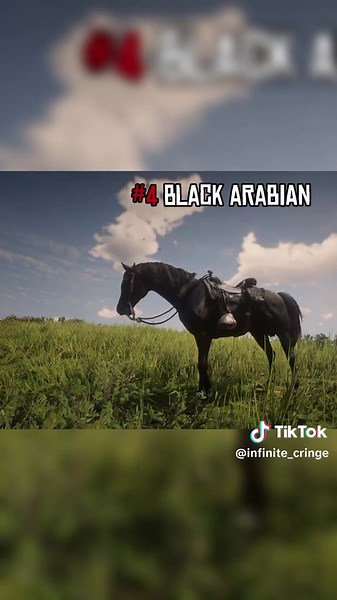 5 Best BLACK Horses with the Highest Stats - RDR2 #rdr#rdr2#reddeadredemption#reddeadeademption2#arthurmorgan#gaming#rdr2online#reddeadeademption2#fyp#arthurmorgan#rdr2online