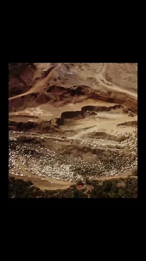 Writing Excercise 17 #starlinegallery 🖼️ #congo #rubbertree