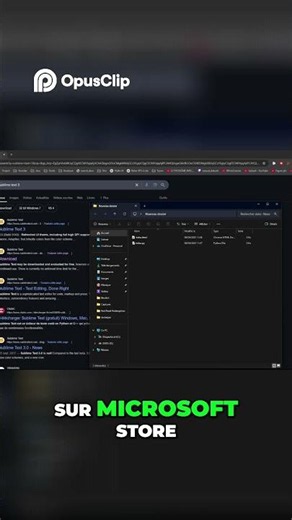 Python - Installer depuis le Web vs Microsoft Store