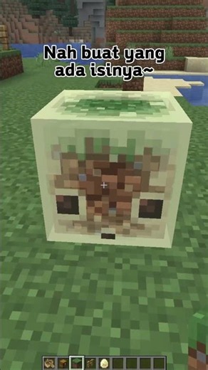 Mojang Thought of This Minecraft Sulfur Cube Storage Method