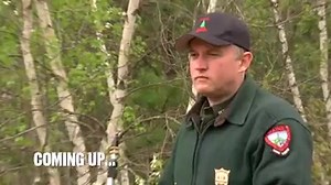 6.8K views · 292 reactions | Coming to you this Sunday during our BACK TO BACK new episodes on Animal Planet ! "Night and Day" Spring turkey hunting season and smelt runs have the wardens working night and day. Poached turkeys lead to a search warrant and stakeout for the suspects. Several animals are encountered including orphaned baby foxes, nuisance beavers and a python. | North Woods Law | Facebook