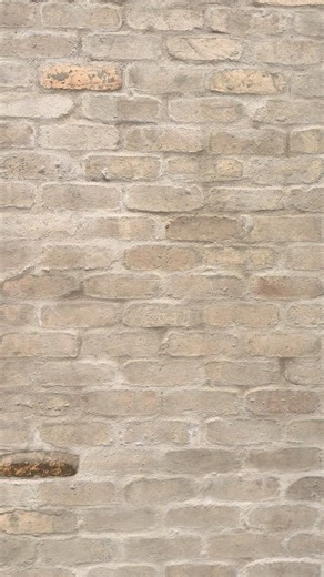 Not your standard Bagged brick work #vandersolidplastering #rendering #solidplastering #featurewalls #renderer