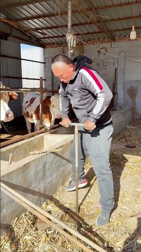 Man Powered WELL Drilling in a Barn 🚰