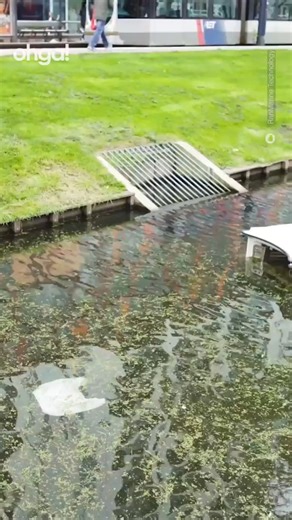 Sembra uno squalo balena, ma al posto di plancton e piccoli pesci cattura i rifiuti che si trovano nei fiumi. Si chiama Waste Shark, e il suo obiettivo è intercettare e raccogliere tutti i rifiuti prima che arrivino nei mari. | Ohga