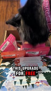 But do you recall...the most amazing upgrade of all 🦌? Get 2X the Rudolph-themed toys and treats, FREE in your first box! 🎁 | Super Chewer BarkBox