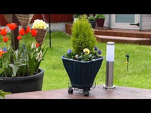 Panasonic Lumix FZ200 New User Video Tutorials - Shooting Video, part 3