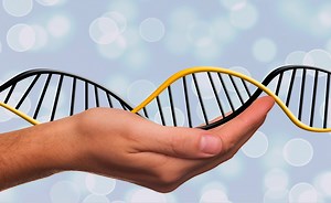 Autism Risk Increased by Mutations in Non-Coding Regions | Genetics And Genomics