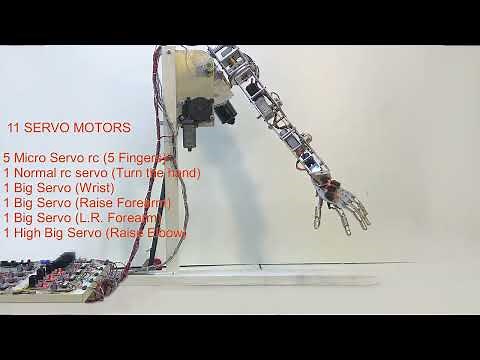 What motors to build an animatronic arm?
