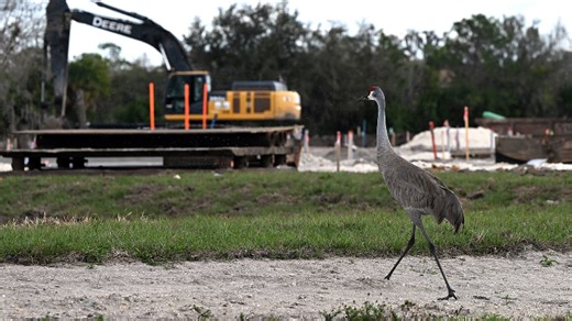 Manatee County is growing. Is be sustainable?