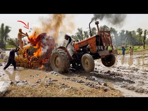 Al Ghazi Tractor Best Performance on Thrasher Machine | 4K Ultra HD