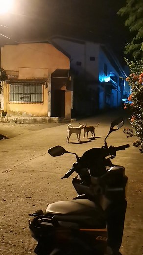 2.6K views · 151 reactions | Iro - 1 Lead Pb - 0 藍藍藍 | Lead Pb | Facebook