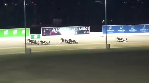 One for the future! Two-year-old Apollostorm was impressive in a trial last night at Melton. He ran a mile rate of 1.55.4 and a final quarter in 27 seconds. This Vicbred Platinum colt is trained by Clayton Tonkin. | Harness Racing Victoria