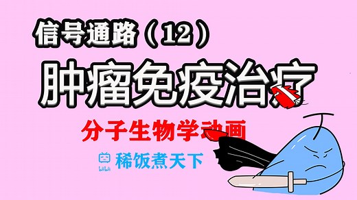 肿瘤的免疫治疗 PD1/PDL1 免疫检查点【分子生物学动画】（12）