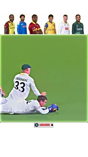 Unbelievable & Dangerous Catches Ever Seen in Cricket! #cricket #shorts