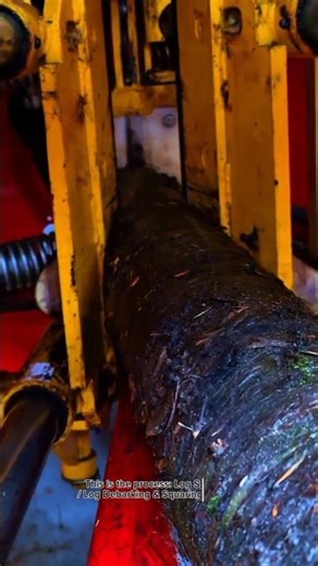 High-Speed Hydraulic Log Splitting Machine | Industrial Wood Processing in Action (USA Standard)