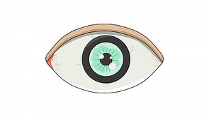 Download Animation forms a human eye icon for free