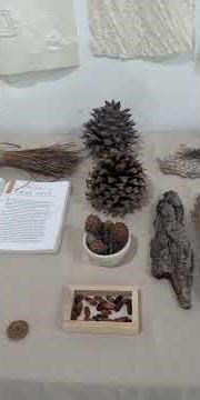 Eliot Spaulding's nature inspired artwork Second Nature at Taft Gardens