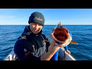 Deep Sea Offshore Fishing in Winter for food - We found the BIG fish!!! | The Fish Locker