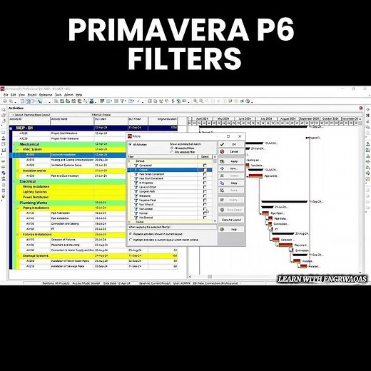 How to use Filters option in primavera p6