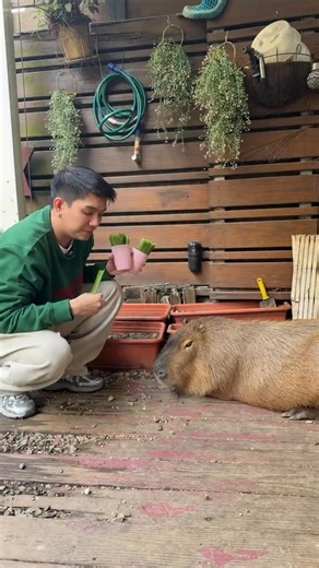 Kevin Montillano on Instagram: "Tank build na daga"