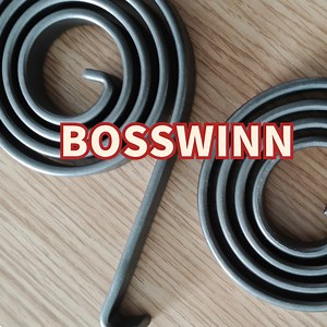 [Hot Item] Popular Flat Spiral Variable Constant Torque Spring Ideal for Motor Brushes