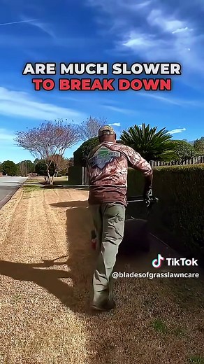 Spring Scalping Bermuda Grass for a Healthier Lawn