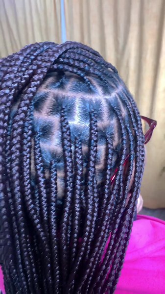 Colorful Knotless Braids in Shade 33 | Hair by NoLo