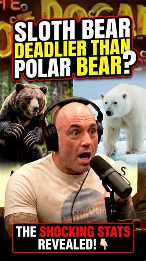 The Deadliest Bear on Earth