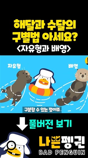 해달과 수달 차이 아세요? #동물상식 #해달 #수달 #동물퀴즈