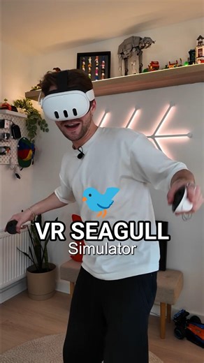 New VR Seagull Simulator on Quest!