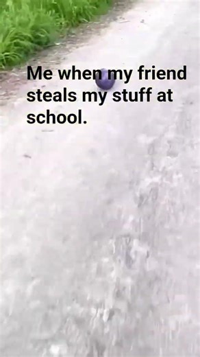He makes me angry sometimes. #silly #funny #video #meme #fun