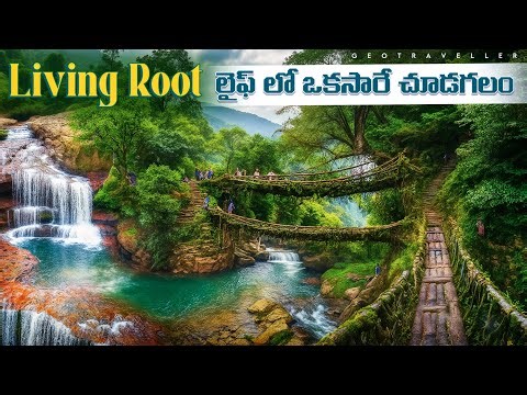 Part-3 Chirapunji | Wai sawdong Fall | Double Decker Living Root Bridge | Most Adventure Trekking