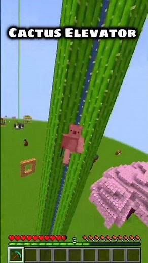 Minecraft Cactus Elevator!