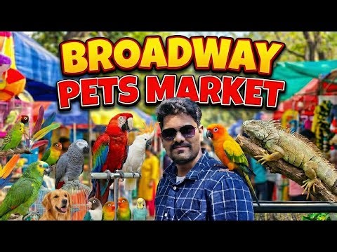 Chennai Broadway Pet Market 🐦 🐶🐱 | Rare Pets, Puppies & Birds | Mr Monster Bala l Sunday market
