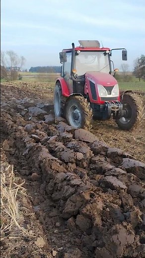 Zetor major 80 ciężka orka #zetor #ursus #agriculture #farming
