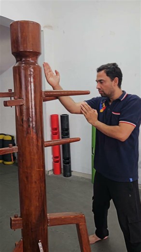 Wing Chun wooden dummy form #viralvideo #wingchun #jeetkunedo