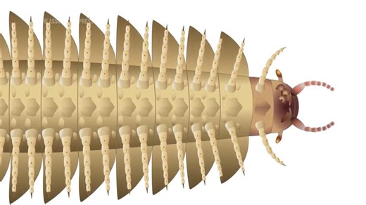 Scientists recreate the head of this ancient 9-foot-long bug