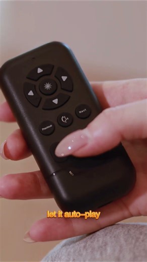 From Cat Owner to Cat Entertainer.