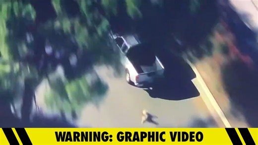 L.A. Driver Throws Dog Out of Moving Truck During Police Chase