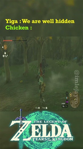 well hidden #gaming #zelda #totk #tearsofthekingdom