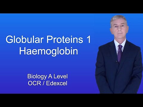 A Level Biology Revision "Globular Proteins 1 Haemoglobin"