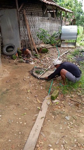 Catching a Bird with a Long Pole #trending #shorts #animals #viral #fyp #nature #explore #funny