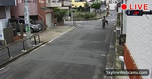 【LIVE】 Live Cam Tokyo - Adachi | SkylineWebcams